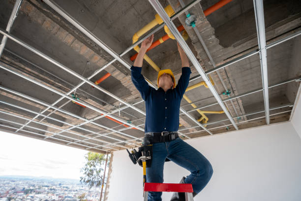 Best 24-Hour Plumber Near Me  in Wheaton, MN